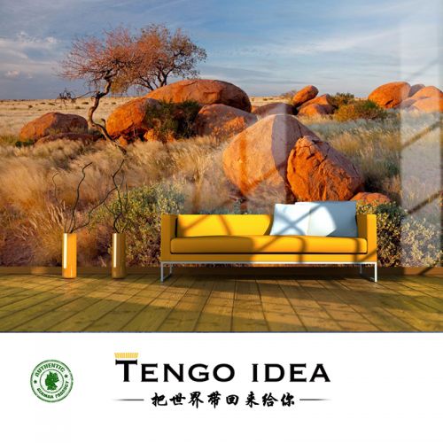 Poster mural géant TENGO IDEA continental - Ref 2459063