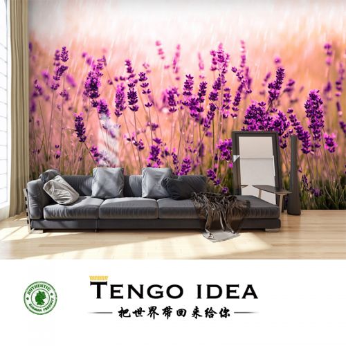 Poster mural géant TENGO IDEA continental - Ref 2459066
