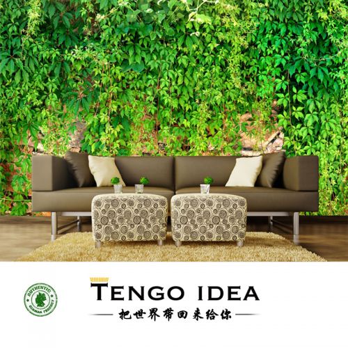 Poster mural géant TENGO IDEA continental - Ref 2459067