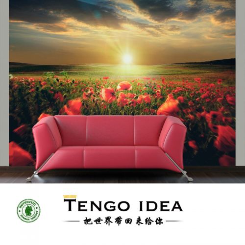 Poster mural géant TENGO IDEA continental - Ref 2459075