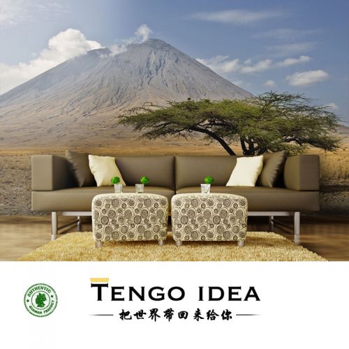 Poster mural géant TENGO IDEA continental - Ref 2459079