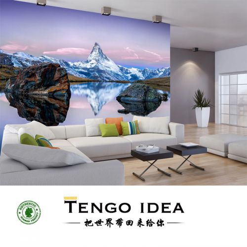 Poster mural géant TENGO IDEA continental - Ref 2459093