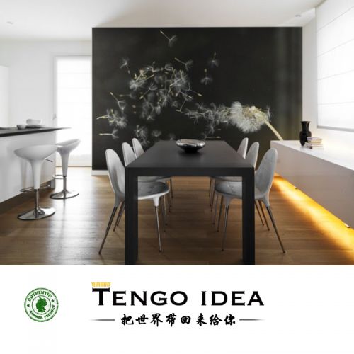 Poster mural géant TENGO IDEA continental - Ref 2459098