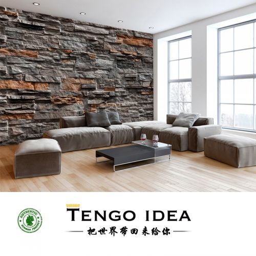 Poster mural géant TENGO IDEA continental - Ref 2459105