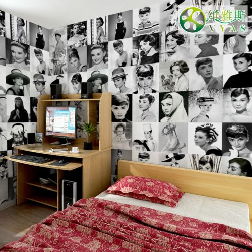 Poster mural géant VYAS continental - papier peint en soie Ref 2459938