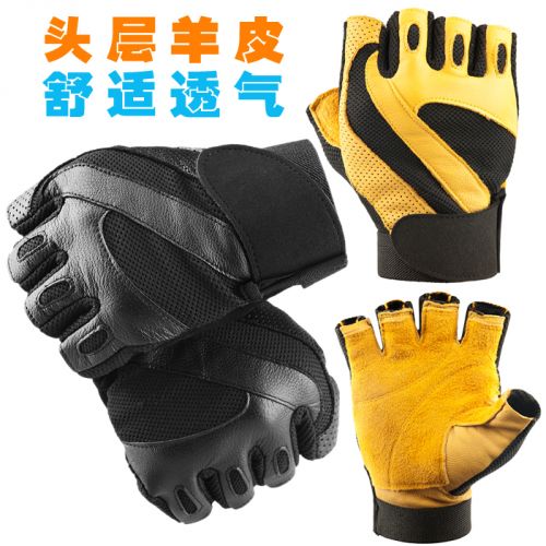 Protection sport - Ref 582191