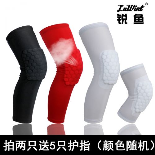 Protection sport LUWINT - Ref 582365