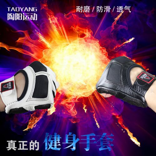 Protection sport - Ref 582392