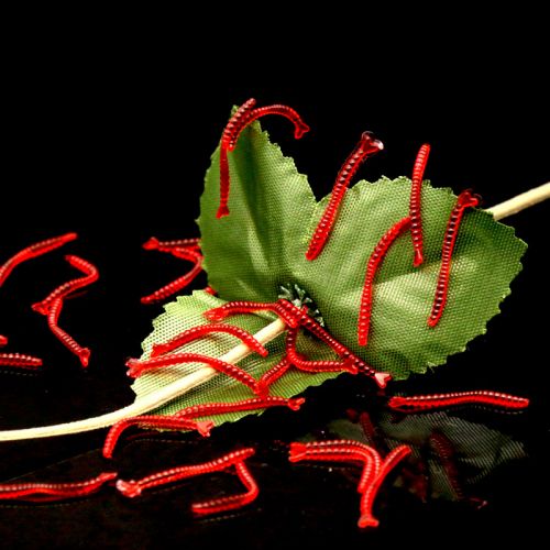 Protection sport - Ref 584802