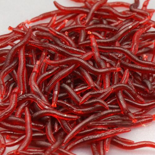 Protection sport - Ref 584821