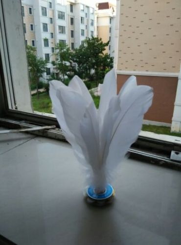 Protection sport - Ref 586570