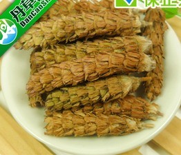 Protection sport - Ref 586683