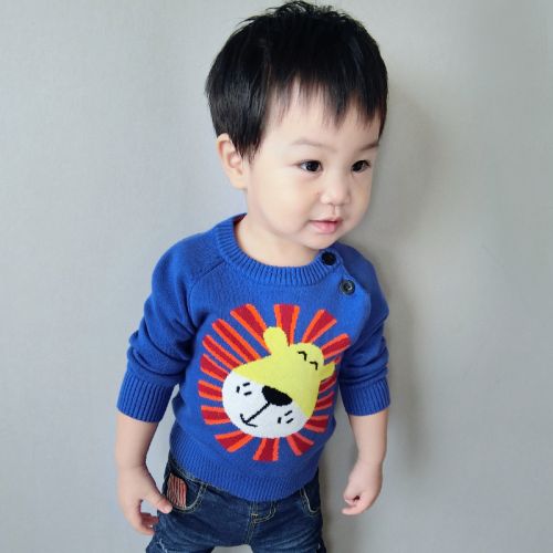 Pull garcon - Ref 2101438