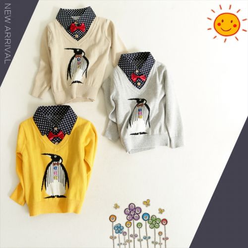 Pull garcon - Ref 2101706