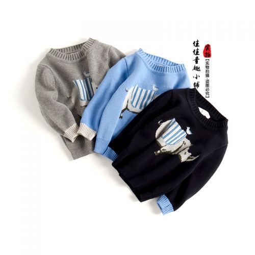 Pull garcon - Ref 2101816