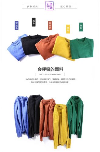 Pull garcon Z&AMPH - Ref 2101969