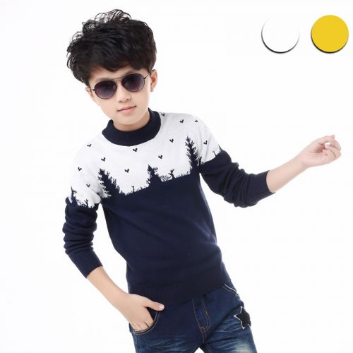 Pull garcon - Ref 2102078