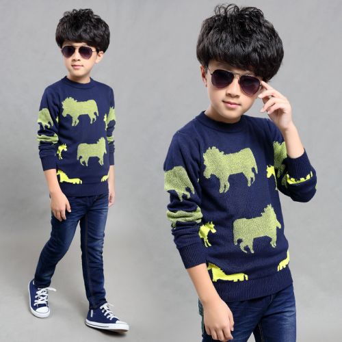 Pull garcon - Ref 2102302