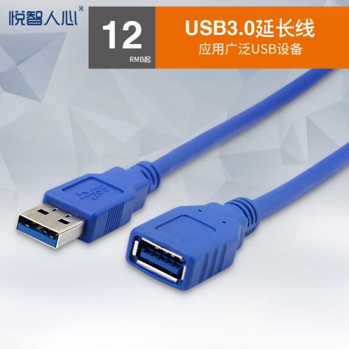 Rallonge USB - Ref 436023