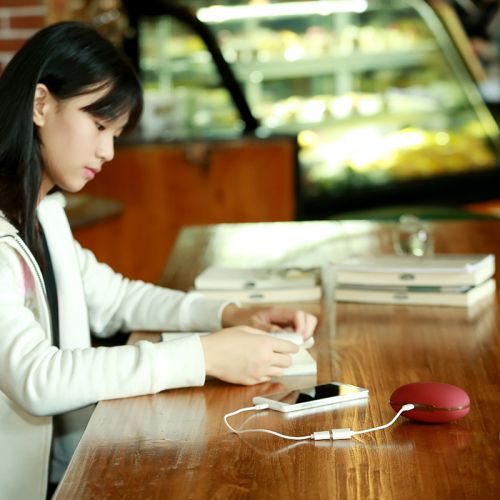 Réchauffeur USB pour les mains - Ref 416100