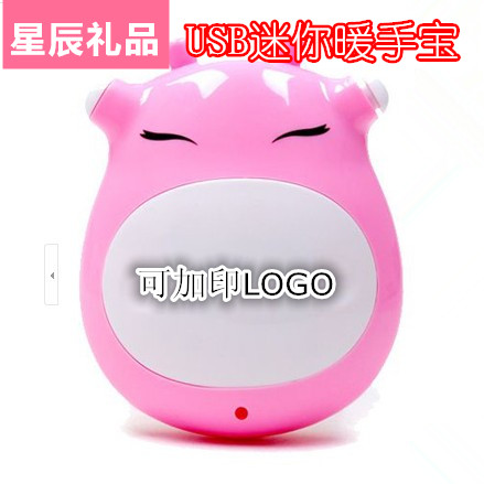 Réchauffeur USB pour les mains - Ref 417243