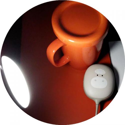 Réchauffeur USB pour les mains - Ref 418211