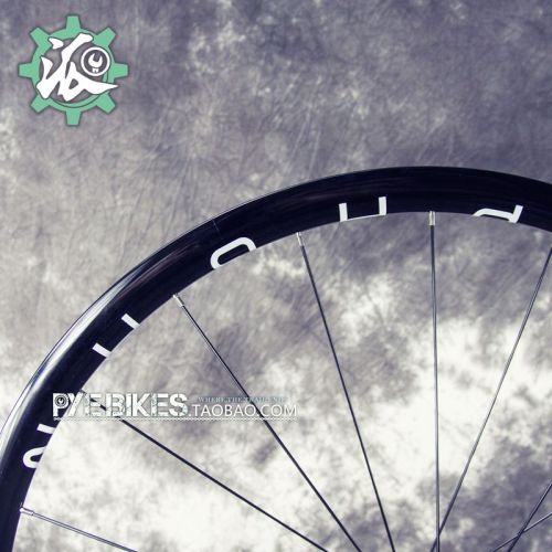 Roues de vélo PAGAN - Ref 2364760