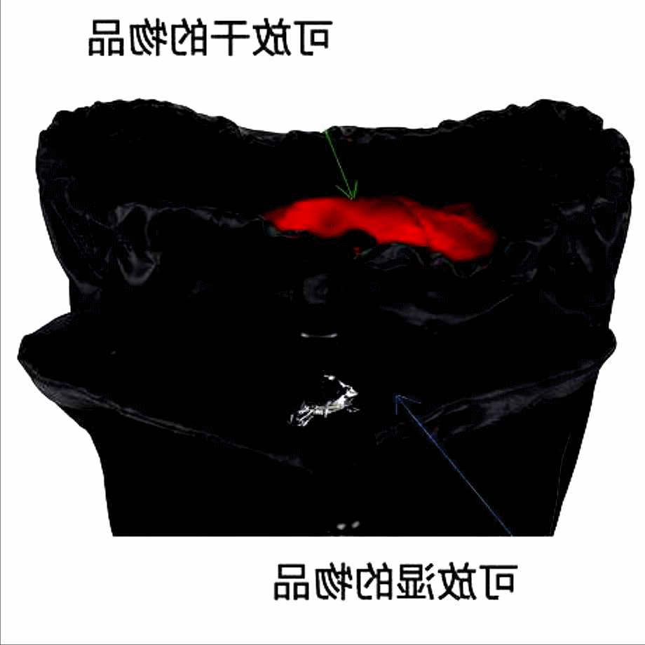 Sac de sport - Ref 16829