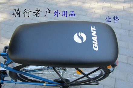 Selle de vélo GIANT - Ref 2345419