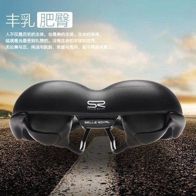 Selle de vélo Mountain Bike SELLE ROYAL - Ref 2352187