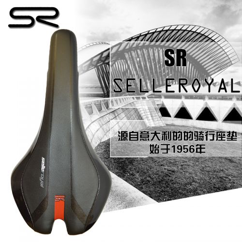 Selle de vélo Mountain Bike SELLE ROYAL - Ref 2359238