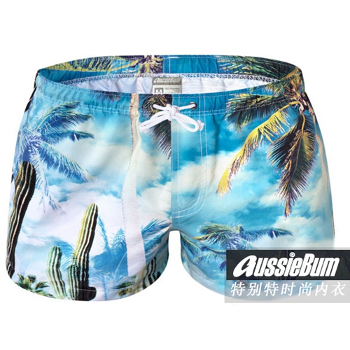Short de plage - maillot bain homme Ref 2555213