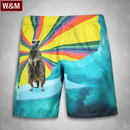 Short de plage - maillot bain homme Ref 2555320