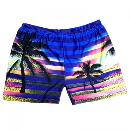 Short de plage - maillot bain homme Ref 2557818