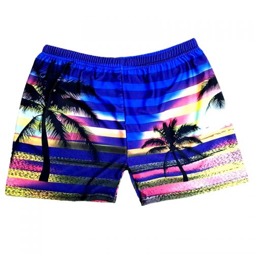 Short de plage - maillot bain homme Ref 2557869