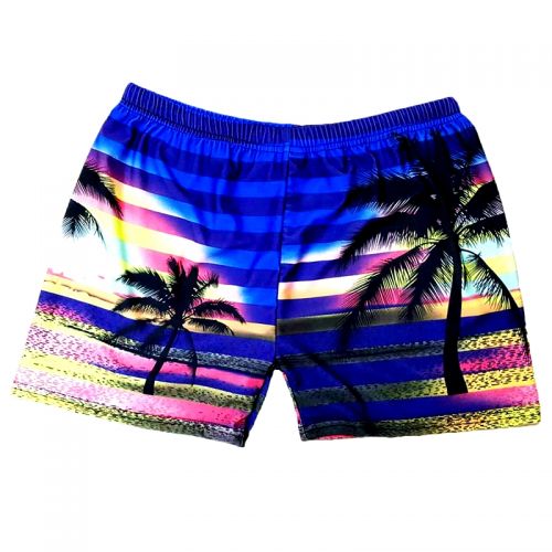 Short de plage - maillot bain homme Ref 2557876