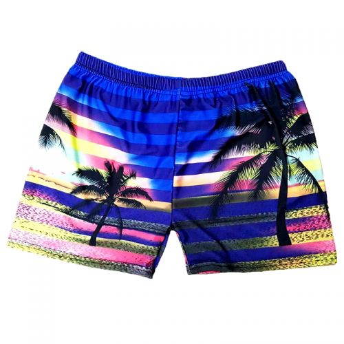 Short de plage - maillot bain homme Ref 2557955
