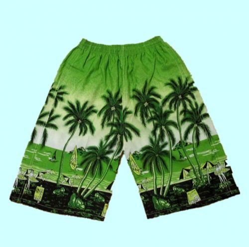 Short de plage - maillot bain homme Ref 2557988