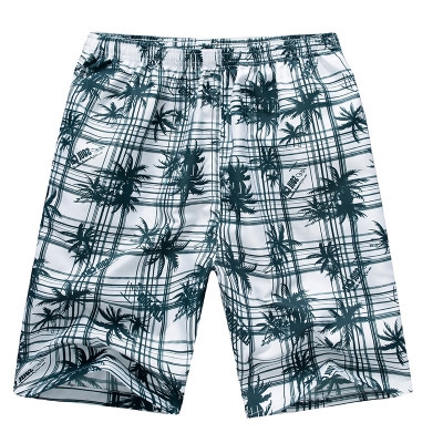 Short de plage - maillot bain homme Ref 2558000
