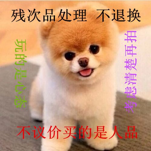  Short sport homme - Ref 546443