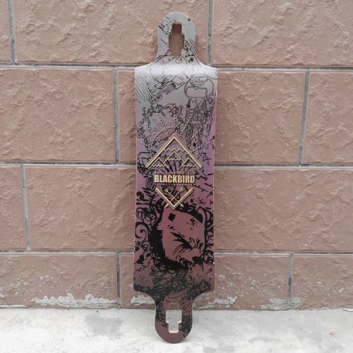 Skate pour homme femme enfant - Ref 2595272