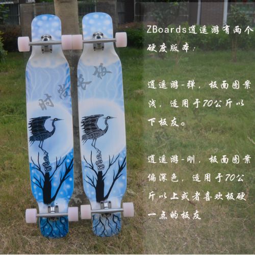 Skate pour homme femme enfant ZBOARDS - Ref 2597613