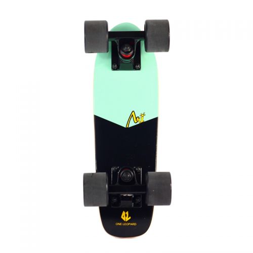 Skate pour homme femme enfant - Ref 2598953