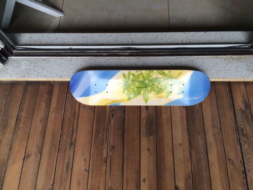 Skate - Ref 2600773