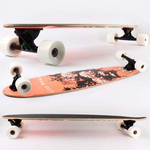 Skateboard pour homme femme enfant CITYHERMIT - Ref 2593327
