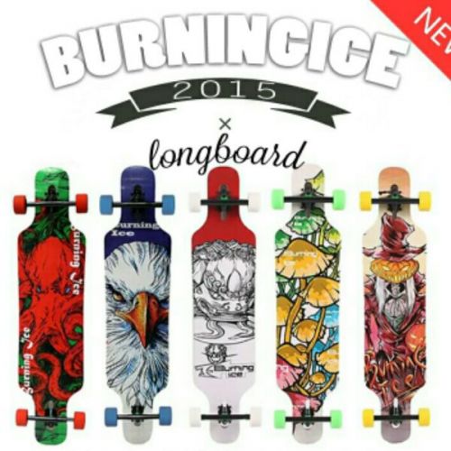 Skateboard pour homme femme - Ref 2594834
