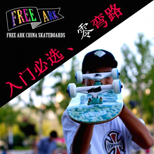 Skateboard pour homme femme enfant FREE ARK - Ref 2596806