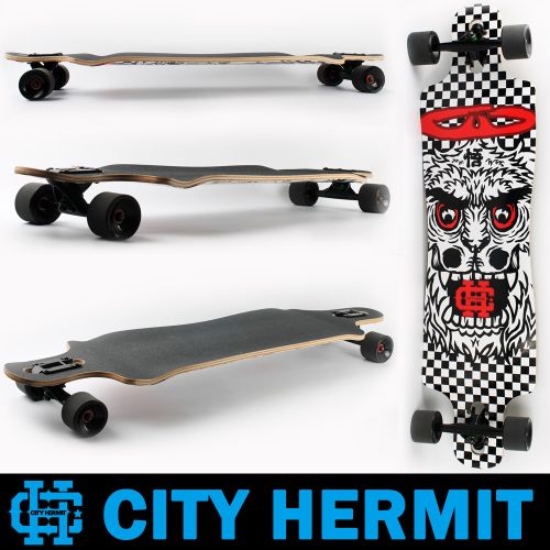 Skateboard pour homme femme enfant CITYHERMIT - Ref 2598575