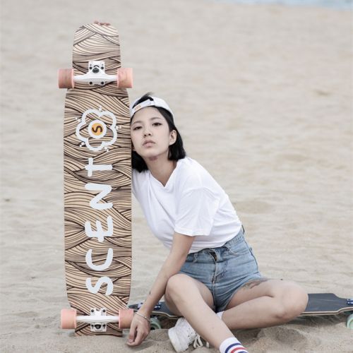 Skateboard 2598756