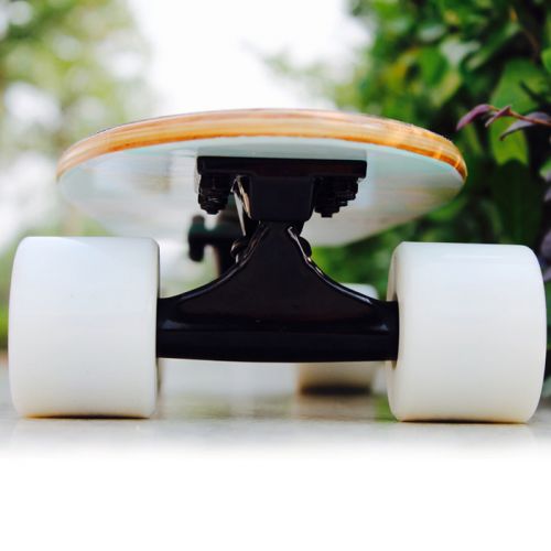 Skateboard pour homme femme enfant AMUSTANG - Ref 2599216